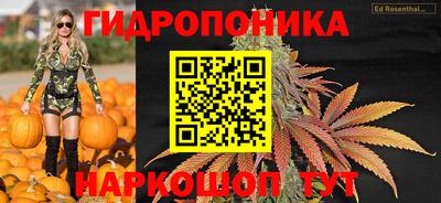 ПСИЛОЦИБИНОВЫЕ ГРИБЫ Кулебаки