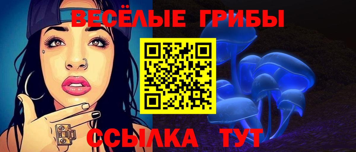 Псилоцибиновые грибы MAGIC MUSHROOMS  Вход с VPN  Зеленокумск 